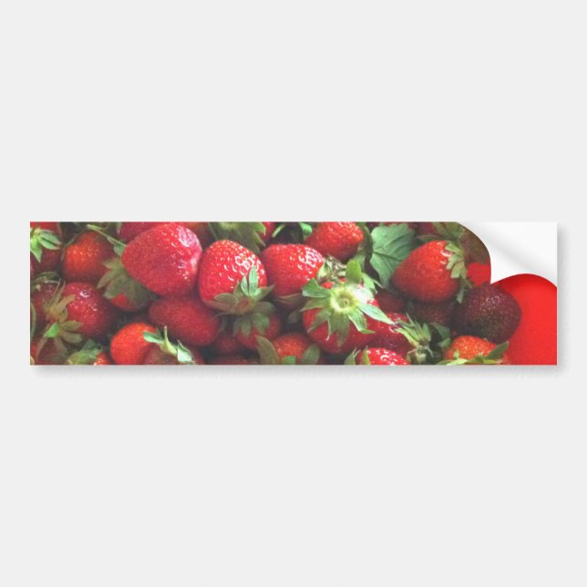 Strawberries Bumper Sticker (Front)