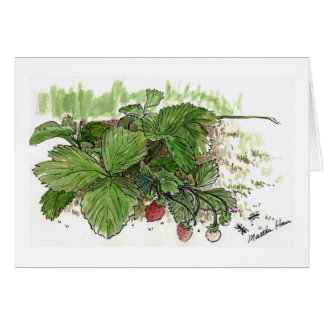 Strawberries Cards