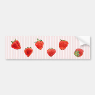 Strawberries Falling pink stripes Bumper Sticker