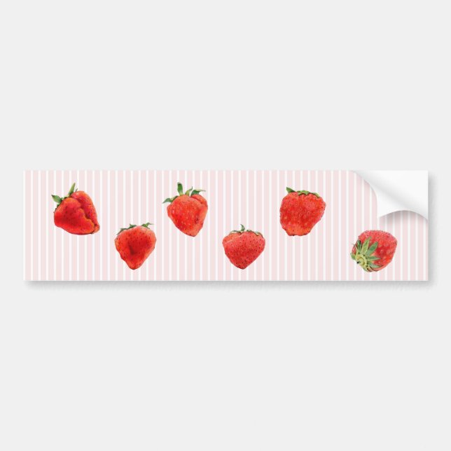 Strawberries Falling pink stripes Bumper Sticker (Front)