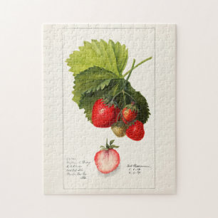 Strawberries (Fragaria) Fruit Watercolor Painting Jigsaw Puzzle
