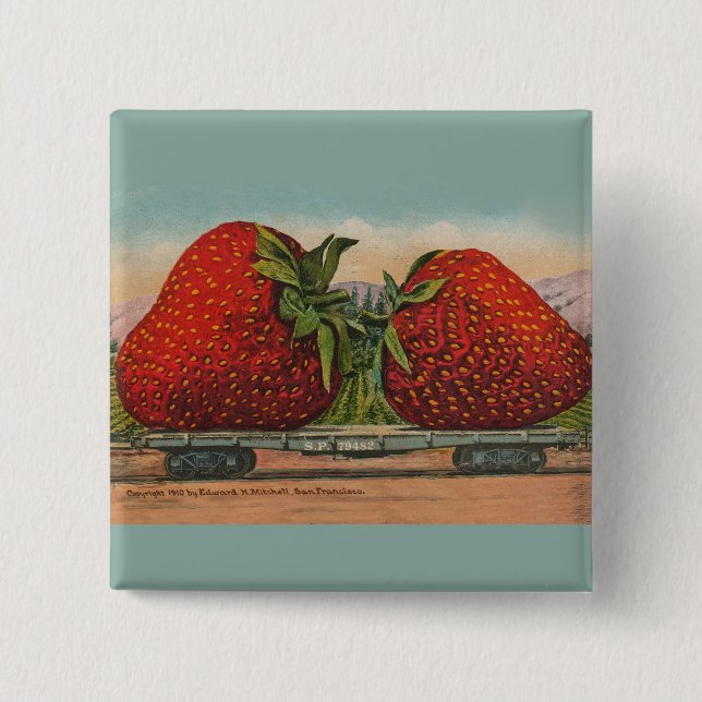 Strawberries Giant Antique Fruit Fun 15 Cm Square Badge (Front)