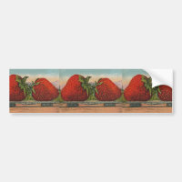 Strawberries Giant Antique Fruit Fun