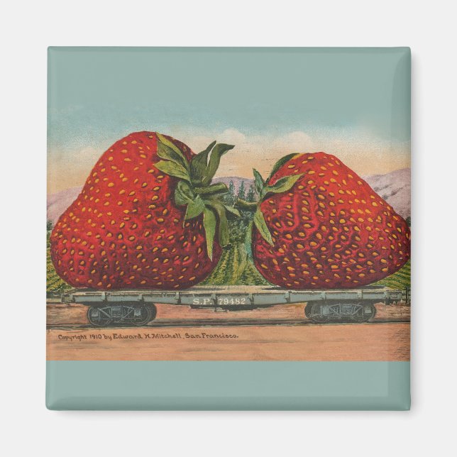 Strawberries Giant Antique Fruit Fun Magnet (Front)