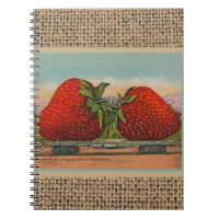 Strawberries Giant Antique Fruit Fun