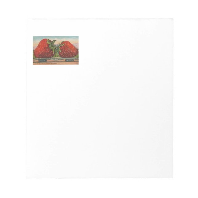 Strawberries Giant Antique Fruit Fun Notepad (Front)