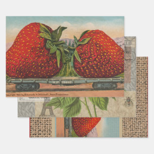 Strawberries Giant Antique Fruit Fun Wrapping Paper Sheet