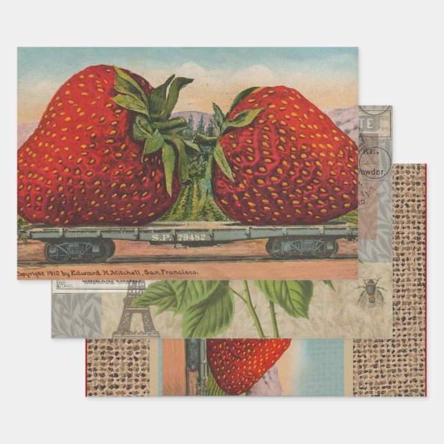 Strawberries Giant Antique Fruit Fun Wrapping Paper Sheet (Set)