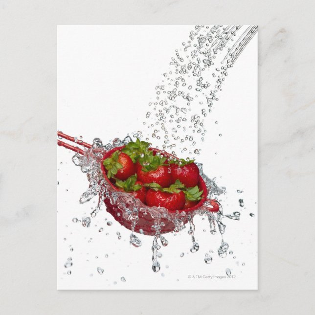 Strawberries in a red colander postcard (Front)