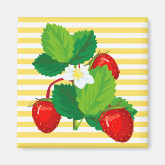 Strawberries Magnet