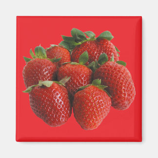 Strawberries Magnet
