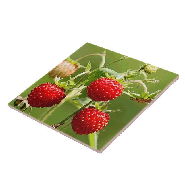 Strawberries Nature Fine Art Fashion Tile (Side)