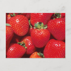 Strawberries Postcard