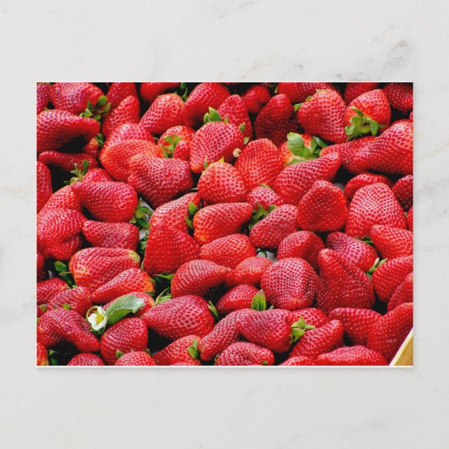 Strawberries Postcard (Front)