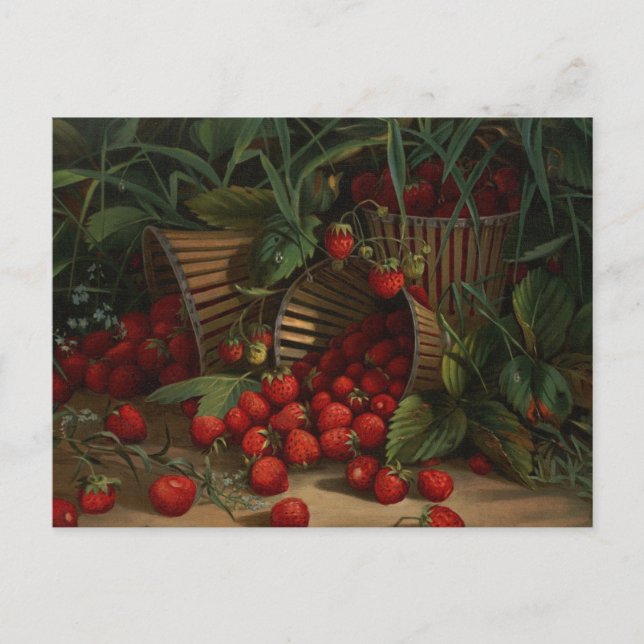 Strawberries Postcard (Front)