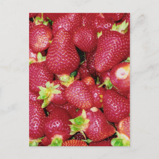 Strawberries Postcard