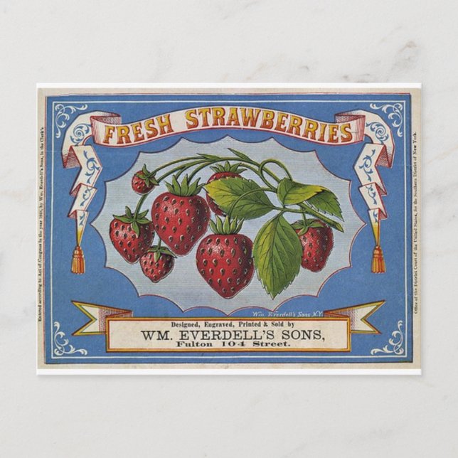 Strawberries Postcard (Front)