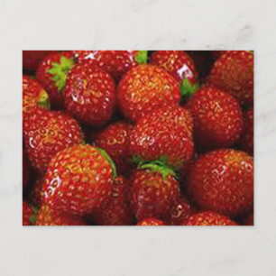 Strawberries  postcard