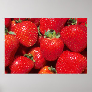 Strawberries Poster