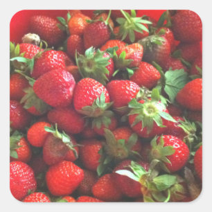 Strawberries Square Sticker