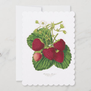 Strawberry Afternoon Tea Invitation