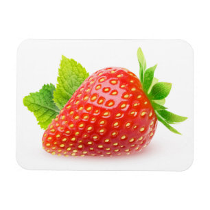 Strawberry and mint magnet