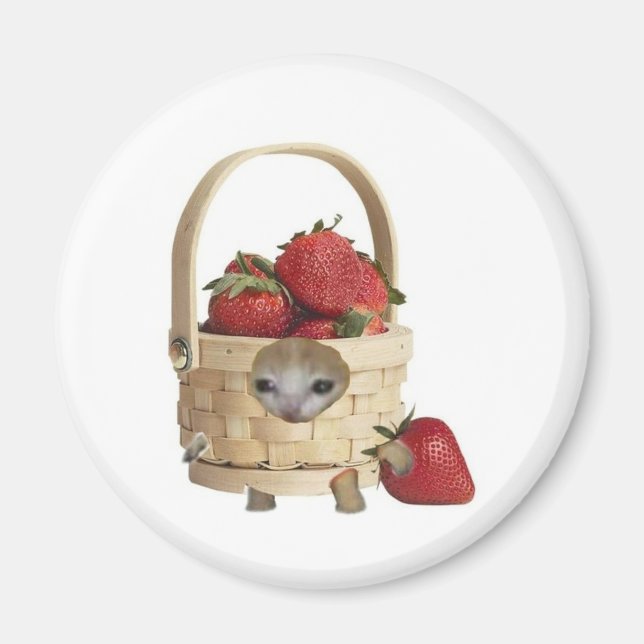 Strawberry basket cat  magnet (Front)