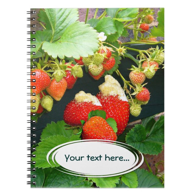 Strawberry Basket ~ Your Text  Notebook (Front)