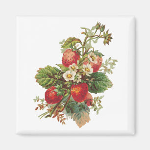 Strawberry Blooms Magnets