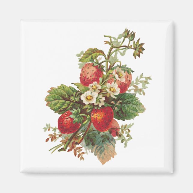 Strawberry Blooms Magnets (Front)