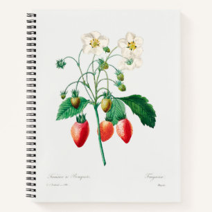 Strawberry Botanical Print Notebook