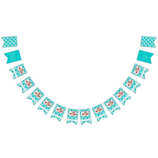 Strawberry Boy First Birthday Milestones Photos Bunting (All)