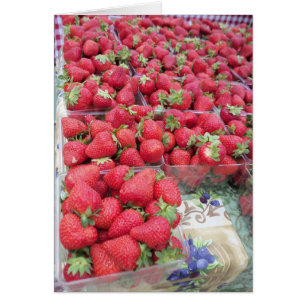Strawberry Bunch