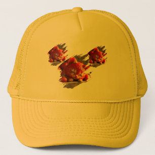 Strawberry dog Hat