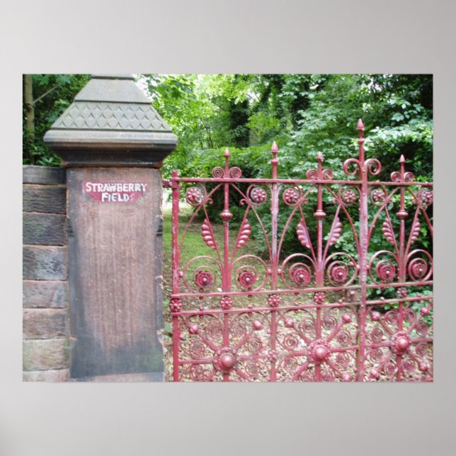 Strawberry Field Poster (Front)