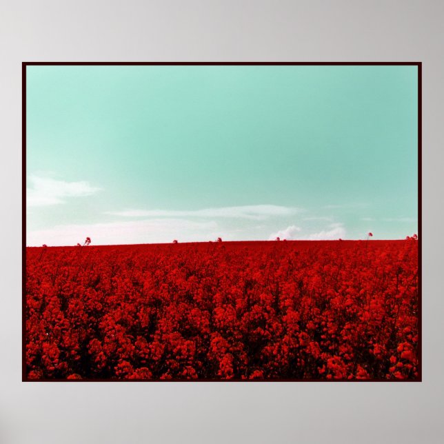 STRAWBERRY FIELDS FOREVER POSTER (Front)