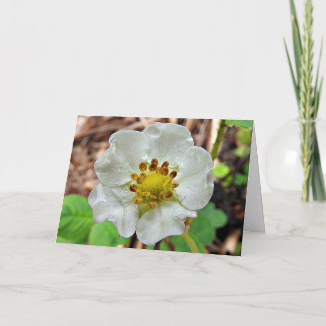 Strawberry Flower Greeting Card, Blank Inside Card (Front)