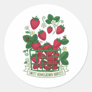 Strawberry Fruit Food Berry Sweet Basket  Classic Round Sticker