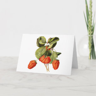 Strawberry Fruit Vintage Botanical illustration Card