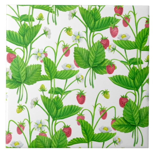 Strawberry garden ceramic tile (Front)