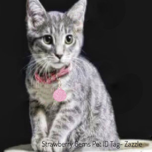 Strawberry Gems Pet Tag