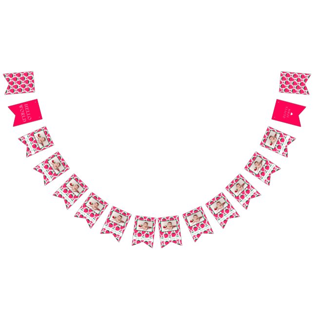 Strawberry Girl 1st Birthday Milestones Photos  Bunting (All)