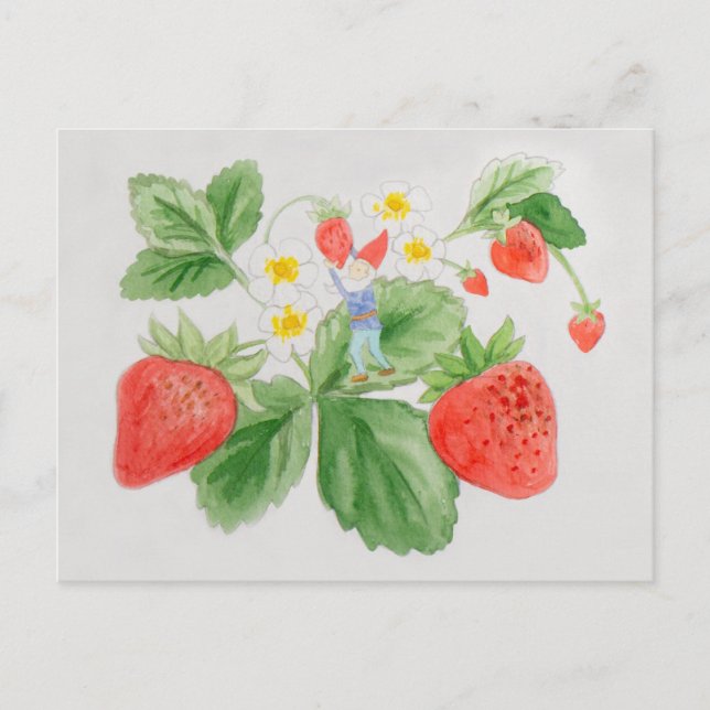 Strawberry Gnome Postcard (Front)