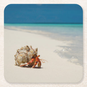 Strawberry Hermit Crab   Coenobita Perlatus Square Paper Coaster