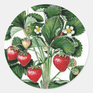 Strawberry Jam Jar Lid Label