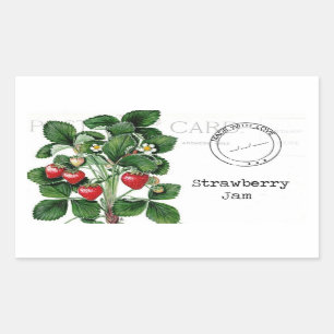 Strawberry Jam Label