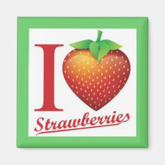 STRAWBERRY MAGNET BY BEVERLY