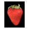 Strawberry on Black Photo