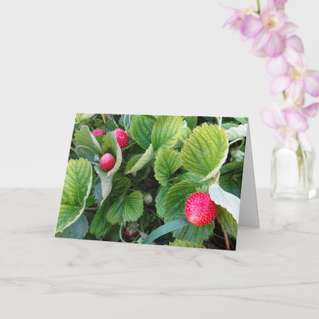 Strawberry Patch Card (Orchid)