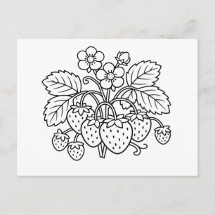 Strawberry Plant Black and White Botanical Art Postcard